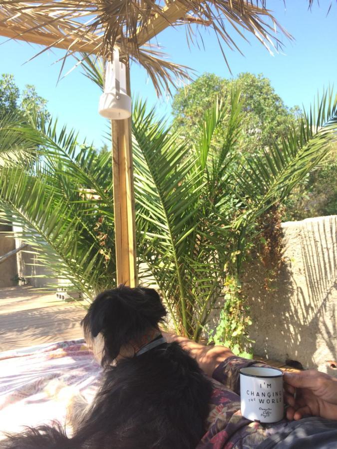 Elemental Ericeira Bed & Breakfast エクステリア 写真