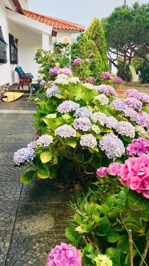 Elemental Ericeira Bed & Breakfast エクステリア 写真
